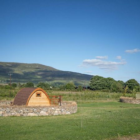 Hotel Bluebell Lane Glamping Newry Exteriér fotografie