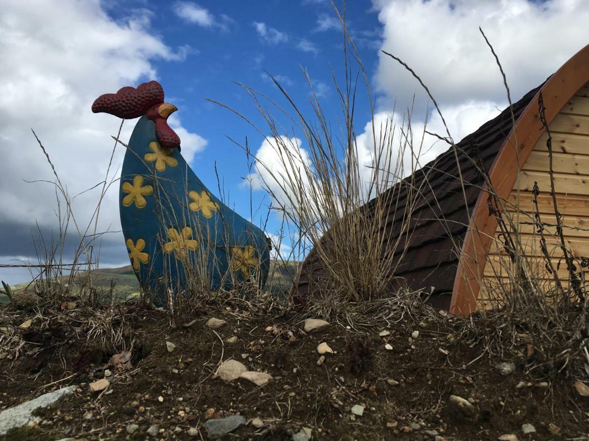 Hotel Bluebell Lane Glamping Newry Exteriér fotografie