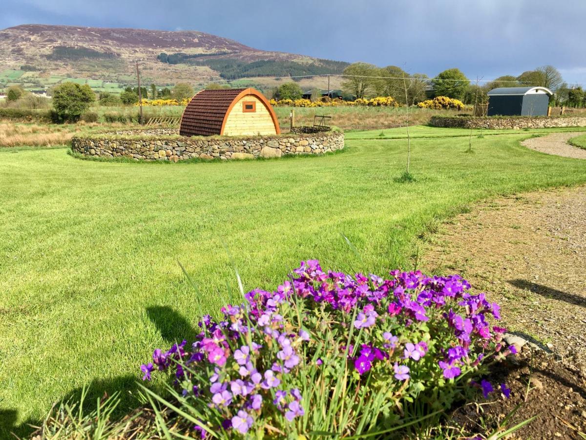 Hotel Bluebell Lane Glamping Newry Exteriér fotografie