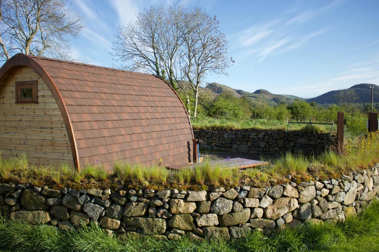 Hotel Bluebell Lane Glamping Newry Exteriér fotografie