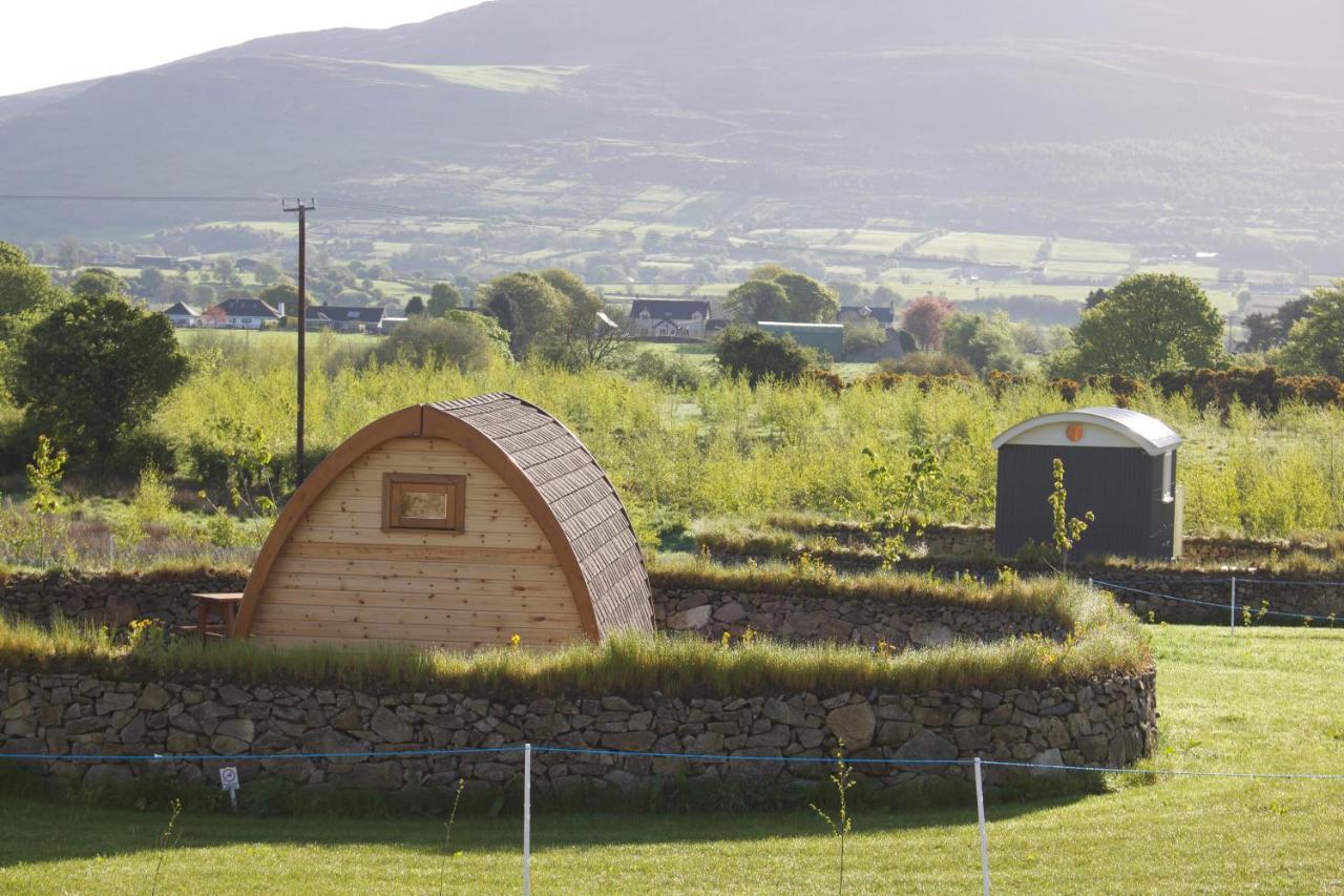 Hotel Bluebell Lane Glamping Newry Exteriér fotografie