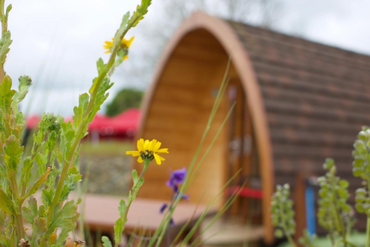 Hotel Bluebell Lane Glamping Newry Exteriér fotografie